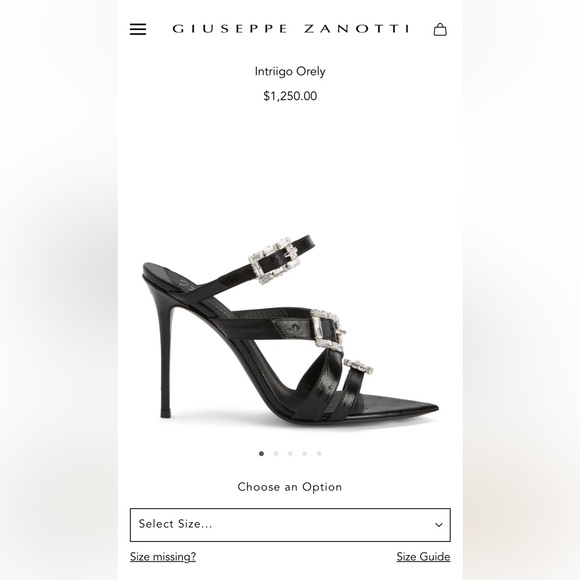 Giuseppe Zanotti heels